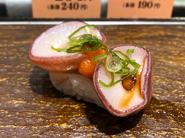 Octopus Sucker