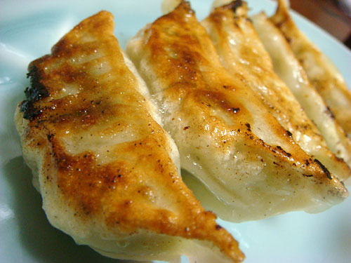 Gyoza Dumplings