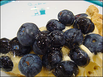 �֥롼�٥꡼�Υ����