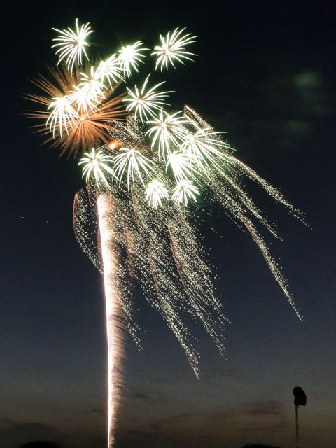 Tamagawa Fireworks Festival