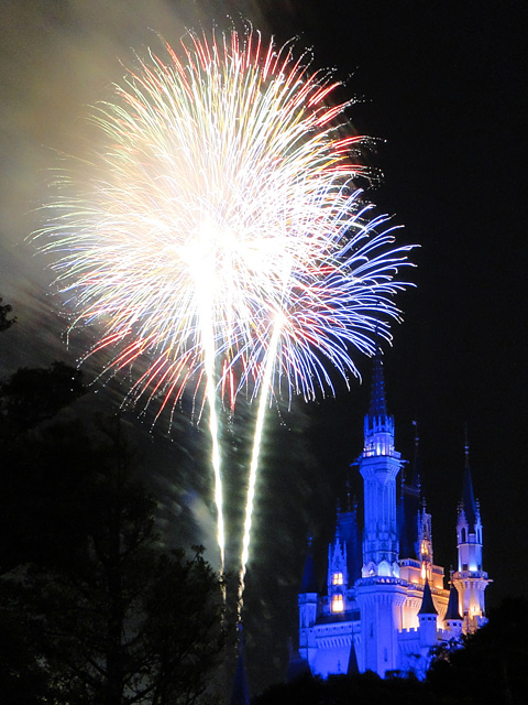 Disney Magic in the Sky