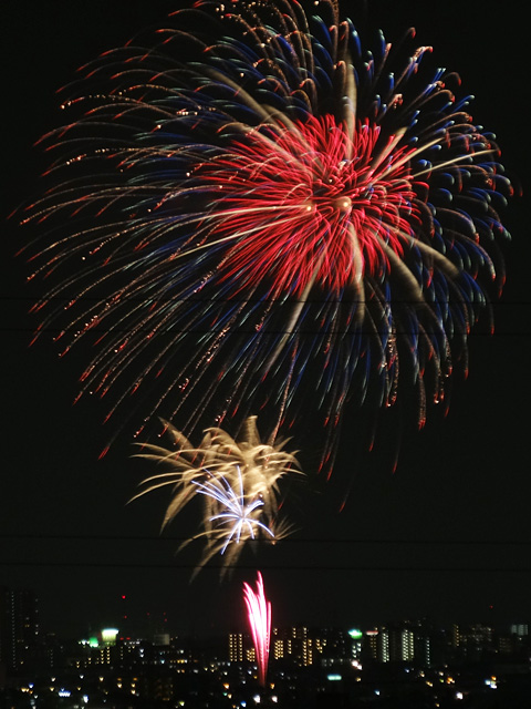 Edogawa Fireworks Festival