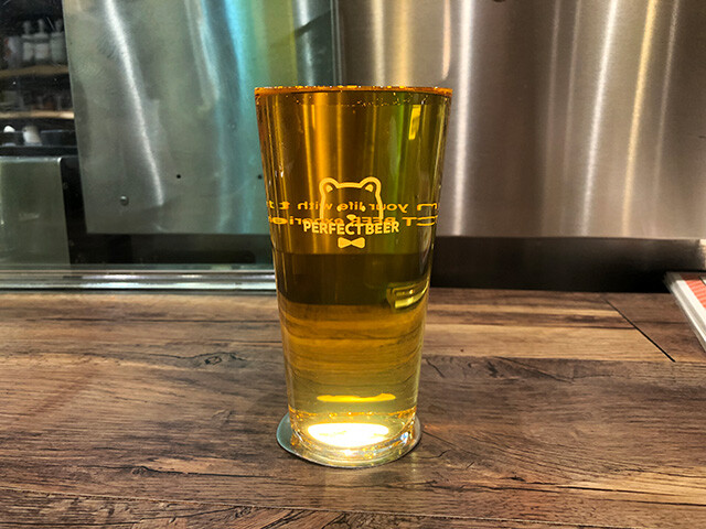 NO FOAM BEER