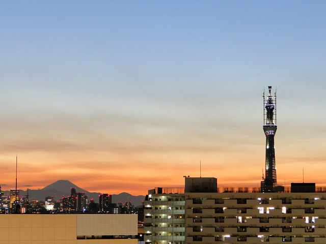 Mt. Fuji and TOKYO SKY TREE