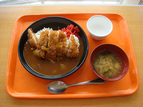 Miso Cutlet Curry
