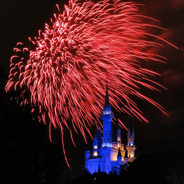 Disney Magic in the Sky