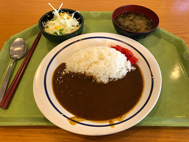 Curry and Rice