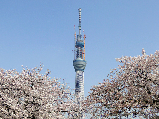 TOKYO SKY TREE