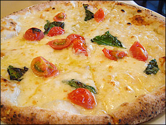 �ޥ륲�꡼���ӥ���