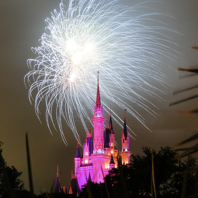 Night High Halloween