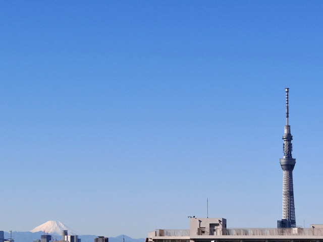 Mt. Fuji and TOKYO SKY TREE