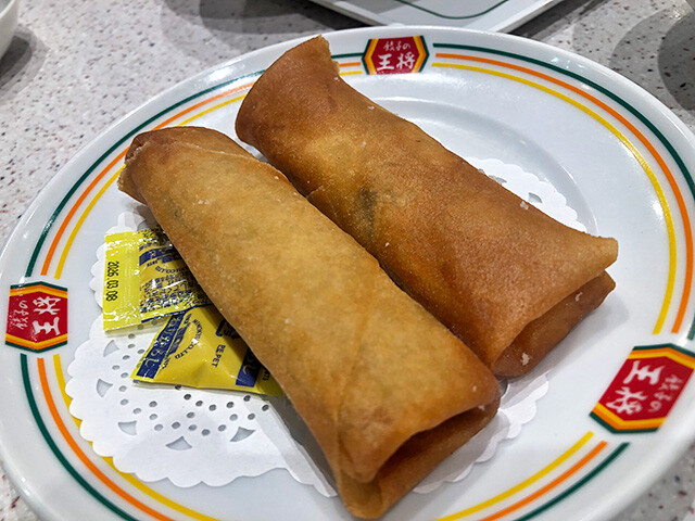 Fried Spring Rolls