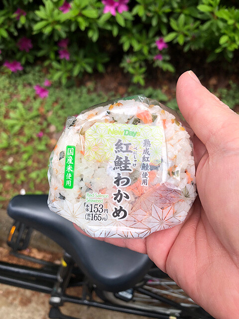 Rice Ball