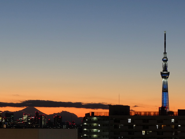 Mt. Fuji and TOKYO SKYTREE