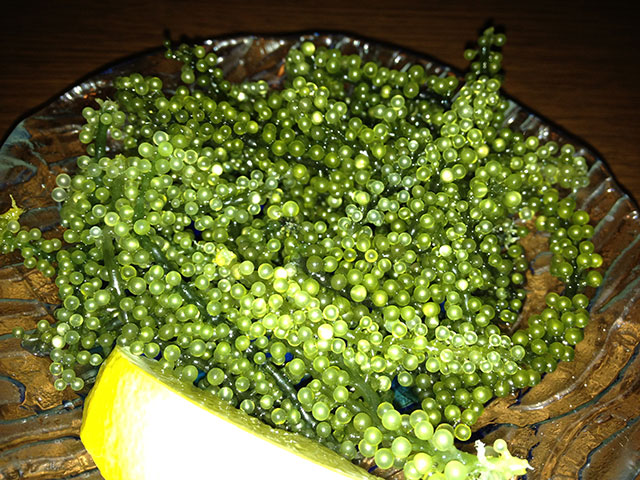 Green Caviar