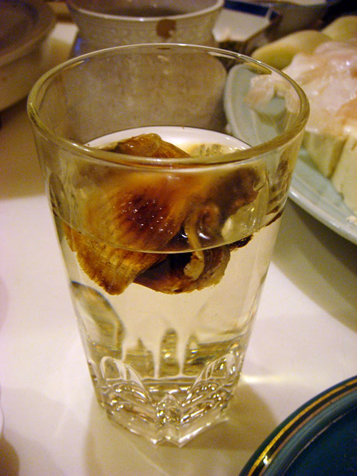 Sake with Fin of Blowfish