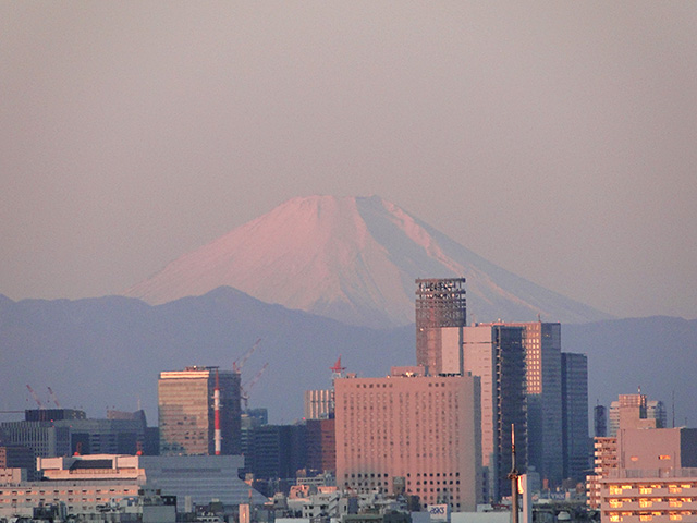 Mt. Fuji