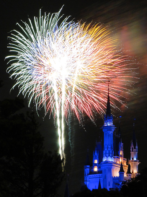 Disney Magic in the Sky