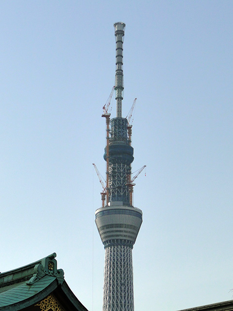 TOKYO SKY TREE from Kameido Tenjin Shrine