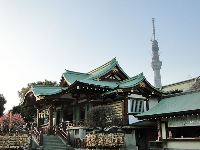 TOKYO SKY TREE from Kameido Tenjin Shrine