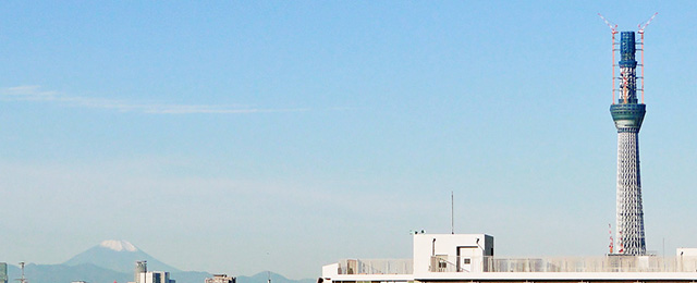 Mt. Fuji and TOKYO SKY TREE