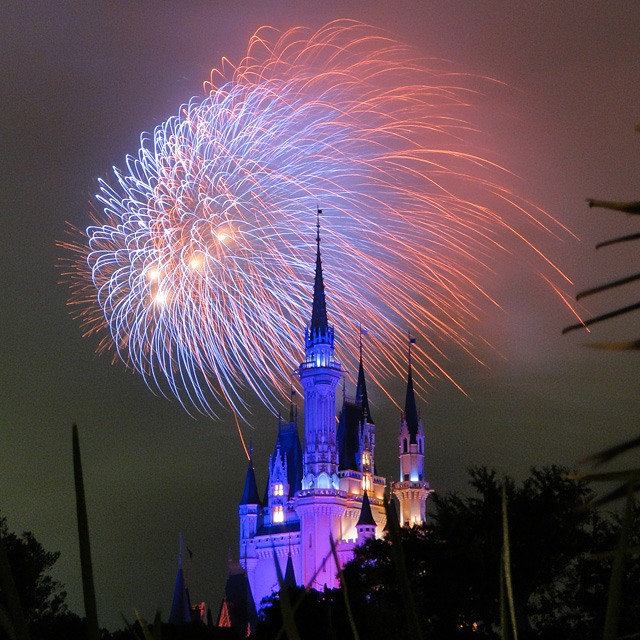 Night High Halloween