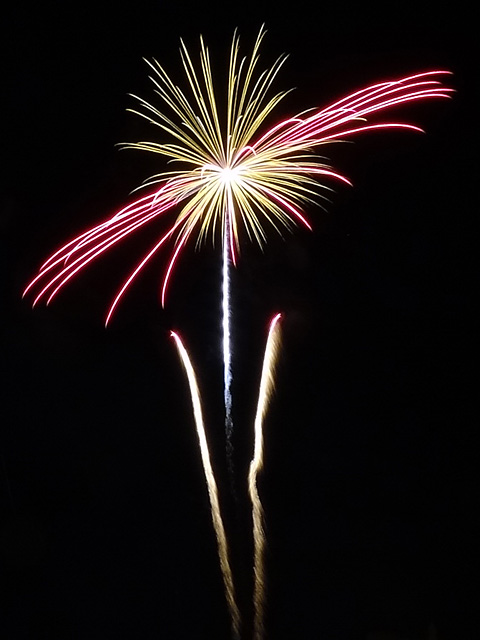 Tateyama Bay Fireworks Festival