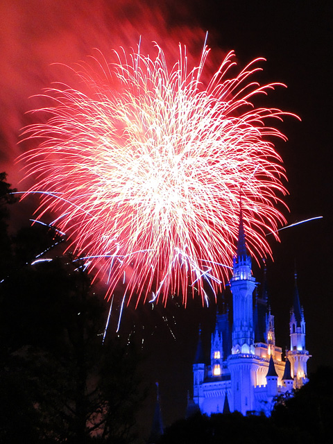 Disney Magic in the Sky