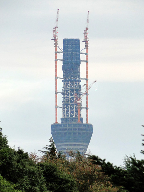 TOKYO SKY TREE from Ueno Zoo