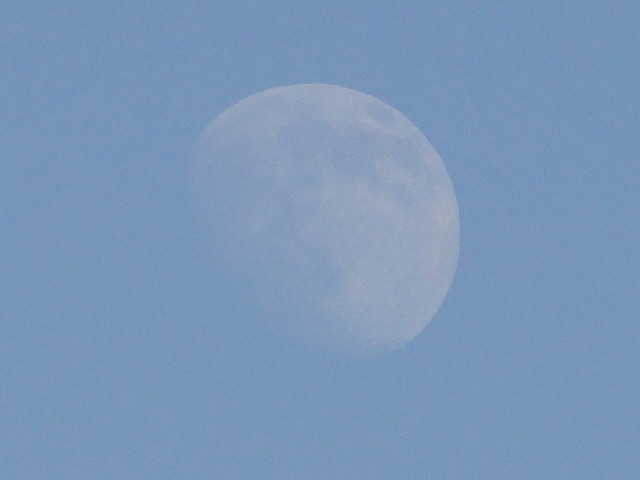 Moon