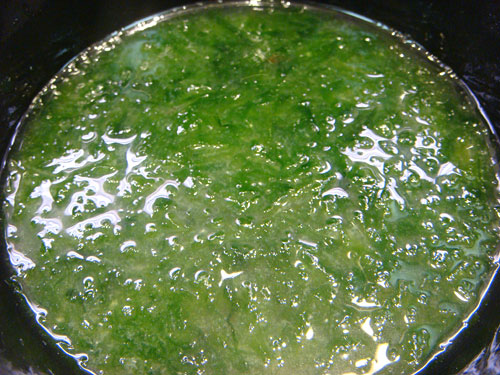 Miso Soup with Green Laver