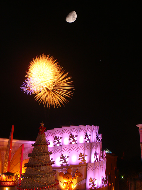 Night High Halloween