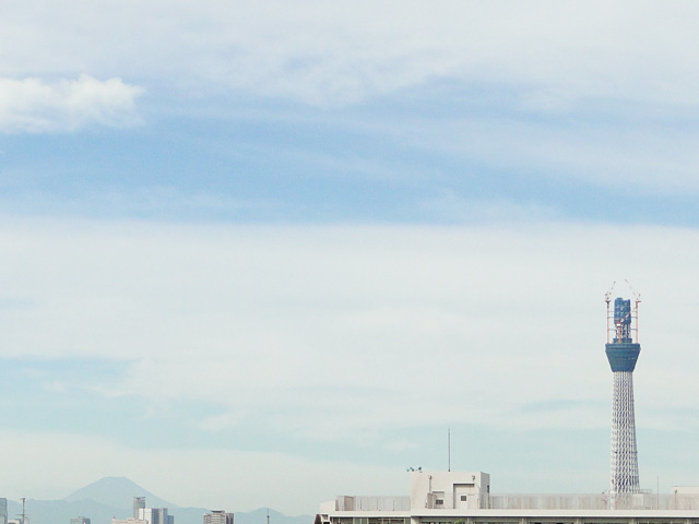 Mt. Fuji and TOKYO SKY TREE