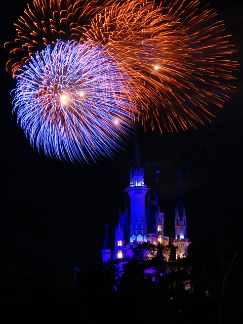 Night High Halloween