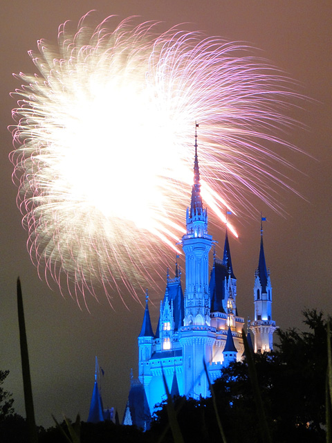 Night High Halloween