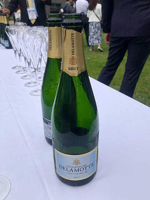 Champagne Delamotte
