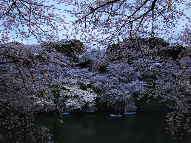 Chidorigafuchi