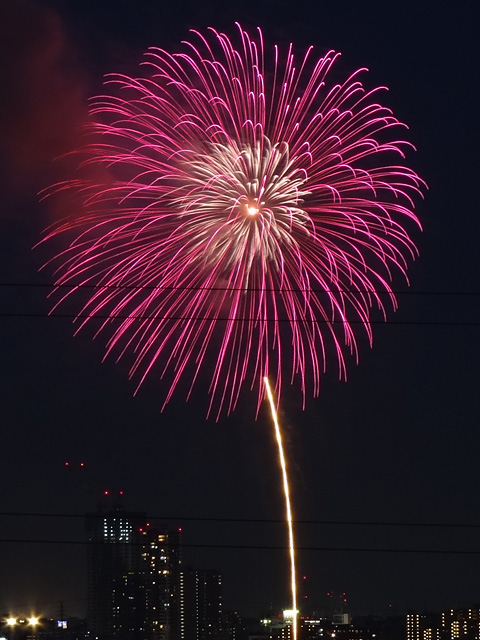Edogawa Fireworks Festival