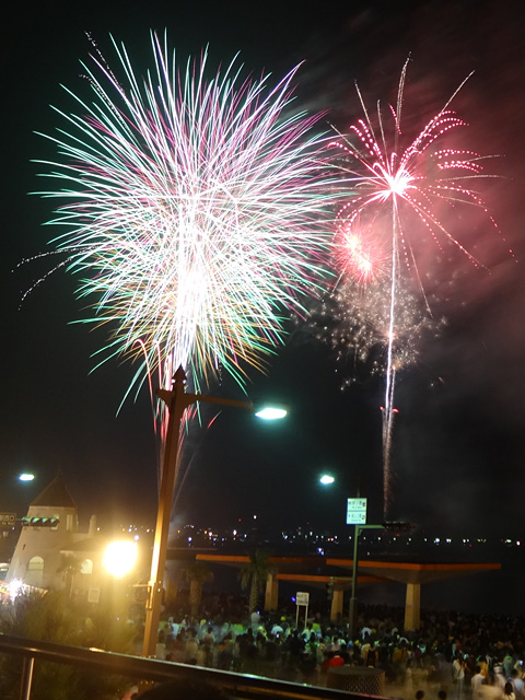 Tateyama Bay Fireworks Festival