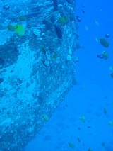 a4050d0c.jpg