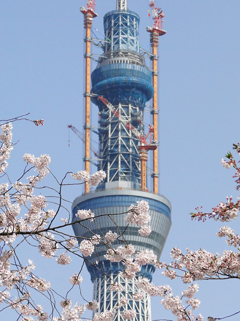 TOKYO SKY TREE