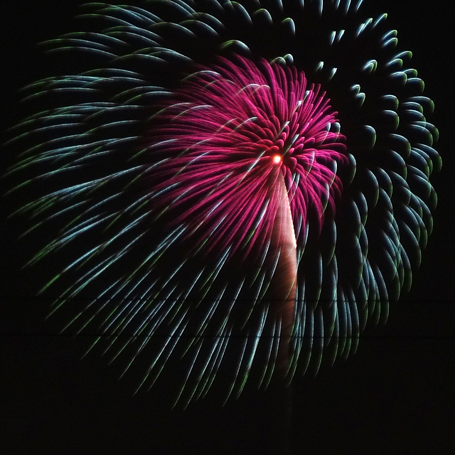 Edogawa Fireworks Festival