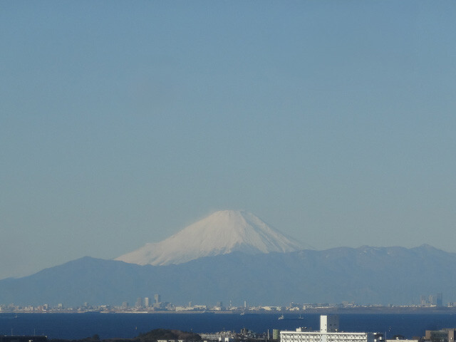 Mt. Fuji