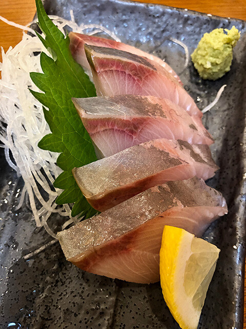 Adult Yellowtail Sashimi