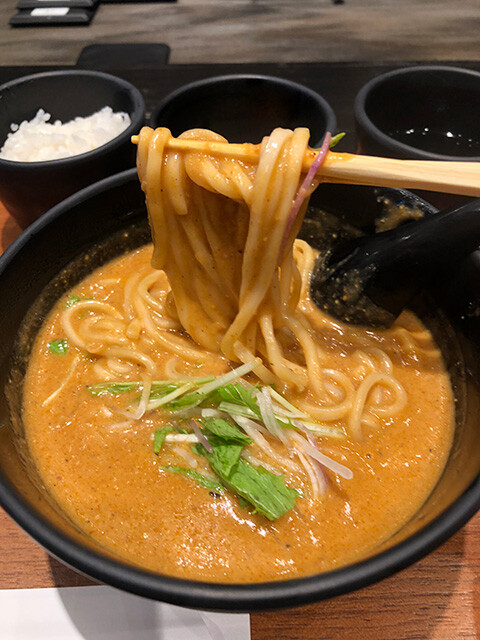 Curry Udon
