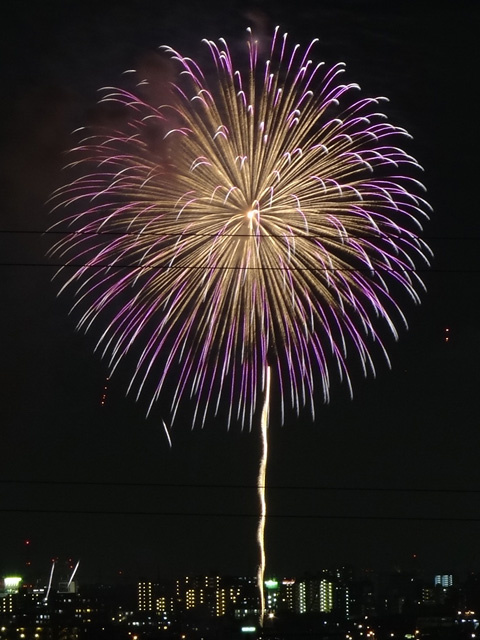 Edogawa Fireworks Festival