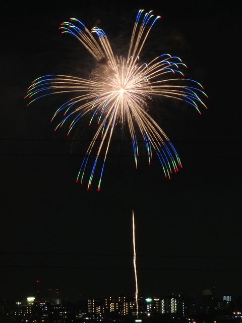 Edogawa Fireworks Festival