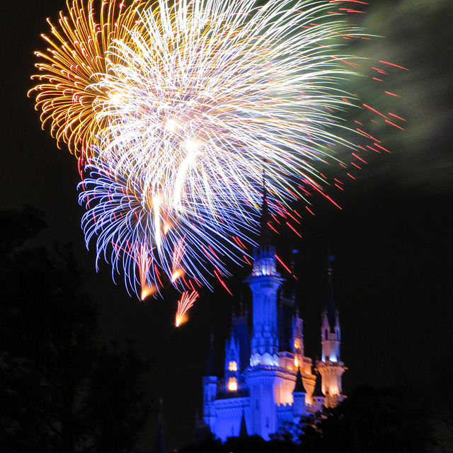 Disney Magic in the Sky