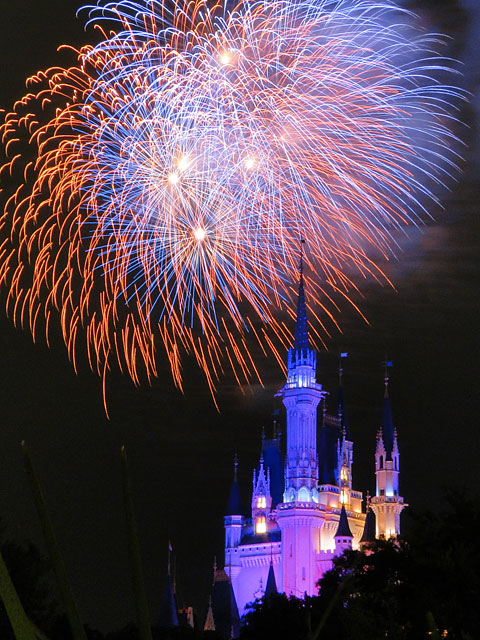 Night High Halloween