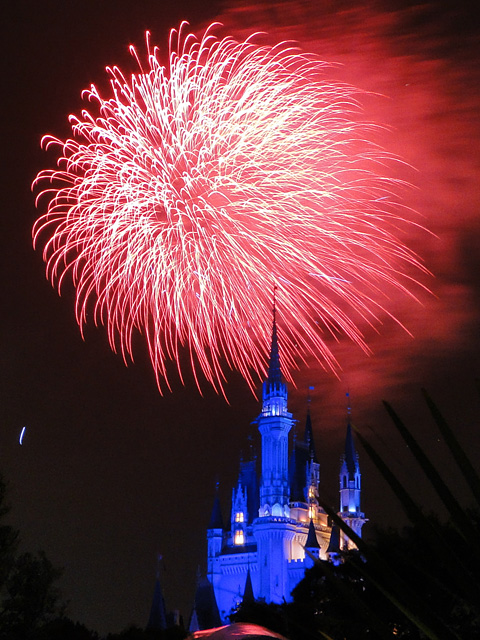 Disney Magic in the Sky